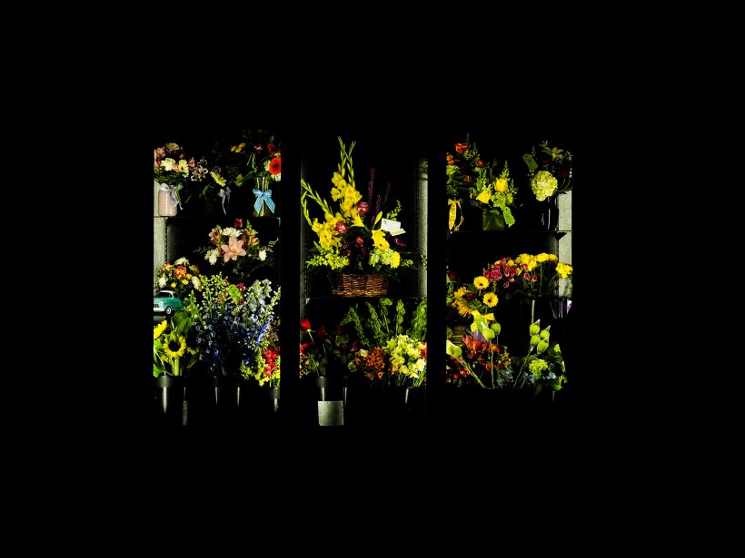 FlowerShopZeiss50mmColor